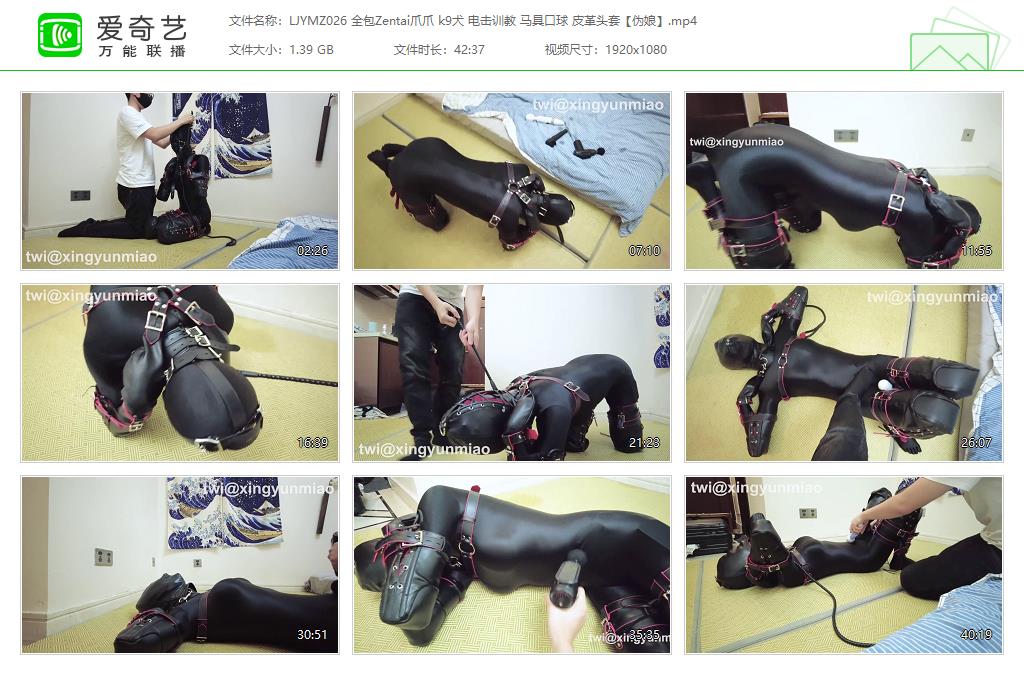 【鹿角与猫爪】 全包Zentai伪娘爪爪 k9犬电击 马具口球皮革头套-缚乐绳艺